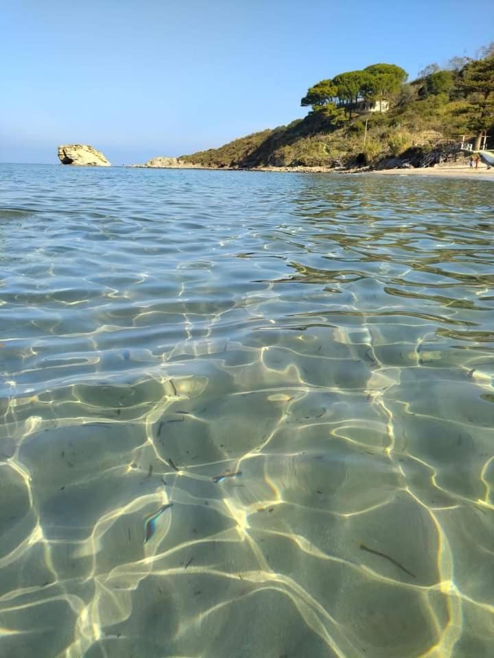 House Trentova * Agropoli